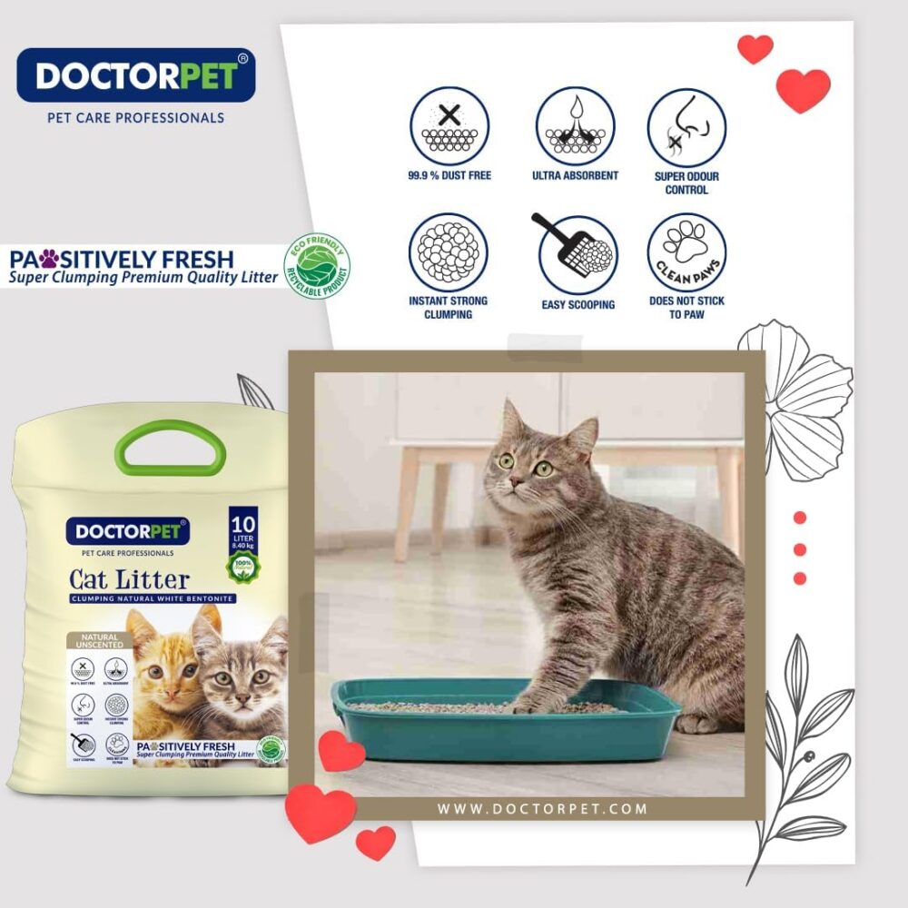 Doctor Pet Cat Litter - Unscented - 10L - Image 5