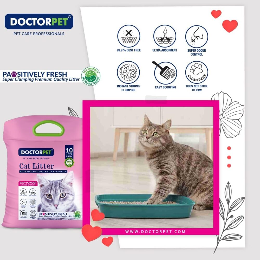 Doctor Pet Baby Powder Scented - Clumping Cat Litter - 10L - Image 4