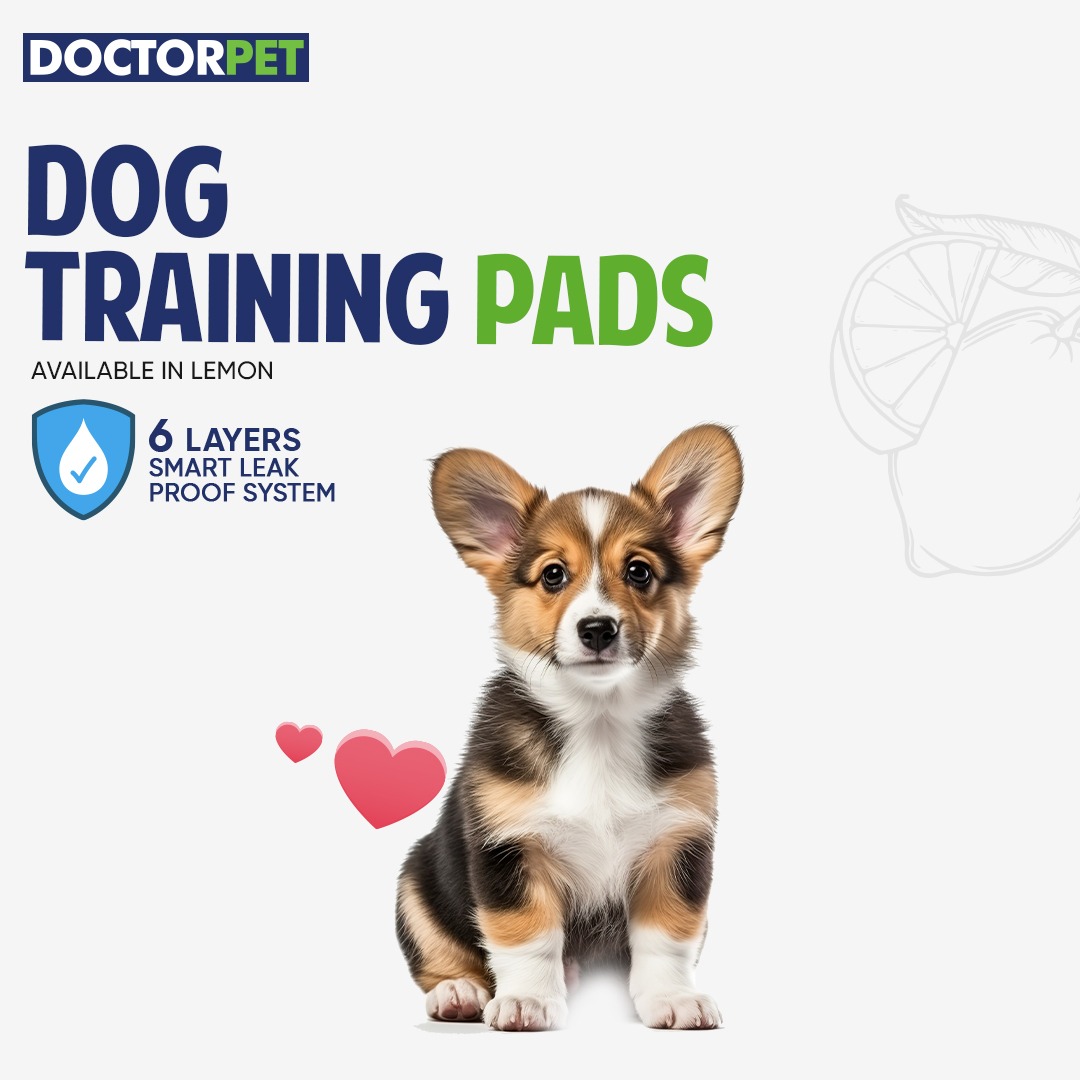 Doctor Pet Training Pads Lemon 30's (60x90cm) - Image 2