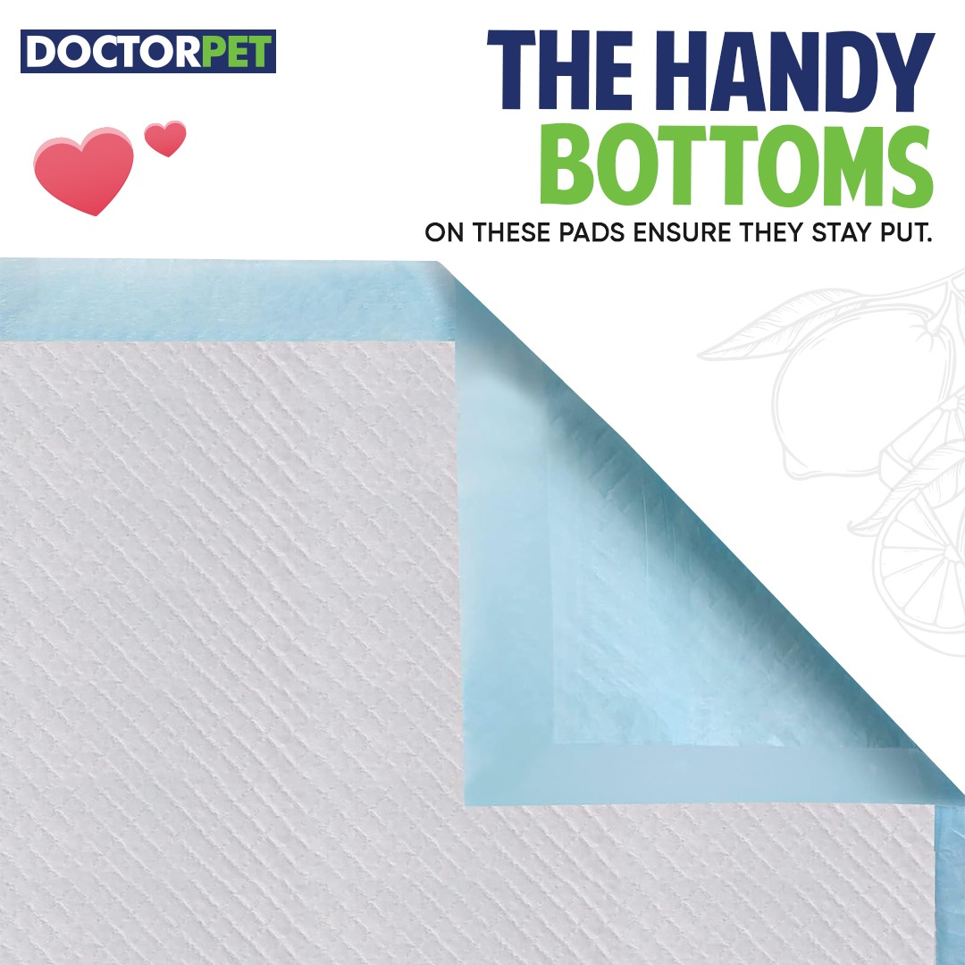 Doctor Pet Training Pads Lemon 30's (60x90cm) - Image 5